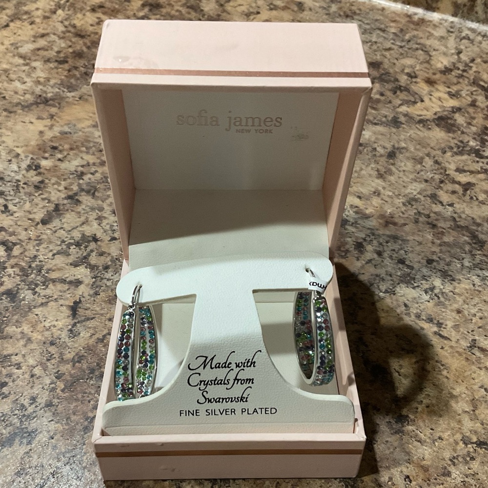 Ladies hoop earrings with multi color crystals